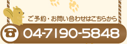 ご予約・お問い合わせはこちらから 04-7190-5848