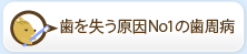 歯を失う原因No1の歯周病