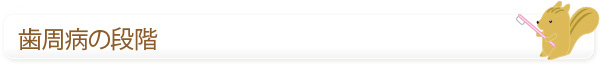 歯周病の段階